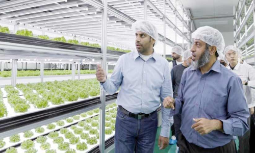 ഭക്ഷ്യസുരക്ഷ;സ്മാർട്ട്​ ഫാമിങ്ങുമായി ഒമാൻ