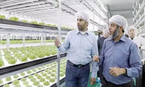 ഭക്ഷ്യസുരക്ഷ;സ്മാർട്ട് ഫാമിങ്ങുമായി ഒമാൻ ഭക്ഷ്യസുരക്ഷ;സ്മാർട്ട് ഫാമിങ്ങുമായി ഒമാൻ