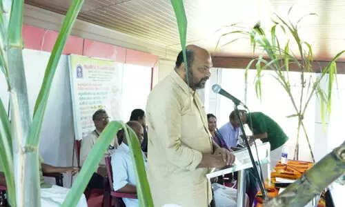 ആലങ്ങാടന്‍ ശര്‍ക്കര 2024 ല്‍ വിപണിയിലിറക്കുമെന്ന് പി. രാജീവ്