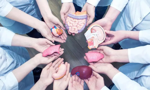 നാലുപേർക്ക്​ പുതുജീവനേകി ജീവിതത്തിൽനിന്ന്​ അമൽ യാത്രയായി