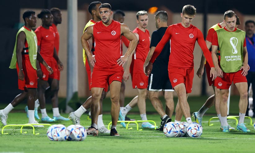 qatar world cup qatar world cup