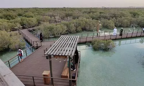 മരുഭൂമിയിലെ മരുപ്പച്ച