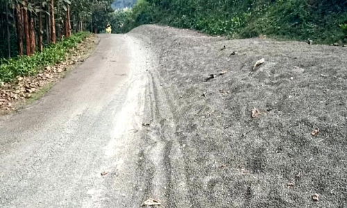 മെറ്റൽ നിരന്ന് കാനന പാത; അയ്യപ്പന്മാർ ദുരിതത്തിൽ മെറ്റൽ നിരന്ന് കാനന പാത; അയ്യപ്പന്മാർ ദുരിതത്തിൽ