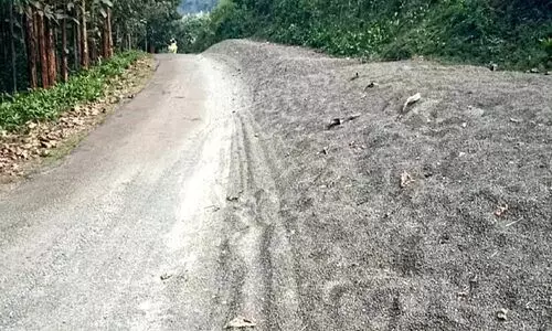 മെറ്റൽ നിരന്ന് കാനന പാത; അയ്യപ്പന്മാർ ദുരിതത്തിൽ