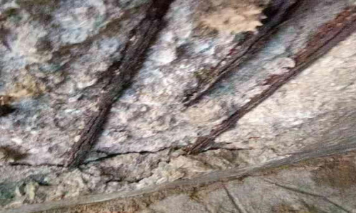 കടപ്പാക്കുഴി പാലം അപകടാവസ്ഥയിൽ