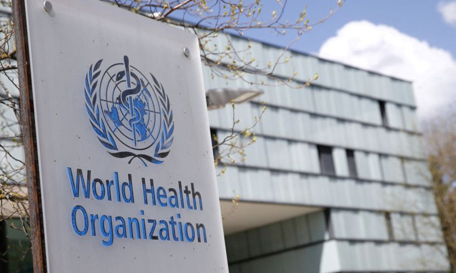 WHO to use mpox to denote monkeypox