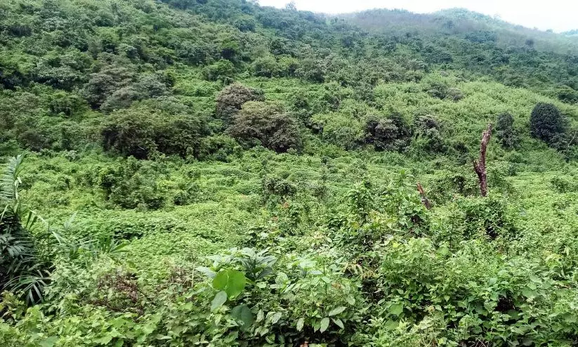 ആറളം പുനരധിവാസ മേഖല; താമസക്കാരെത്താത്ത ഭൂമി തിരിച്ചുപിടിക്കും ആറളം പുനരധിവാസ മേഖല; താമസക്കാരെത്താത്ത ഭൂമി തിരിച്ചുപിടിക്കും