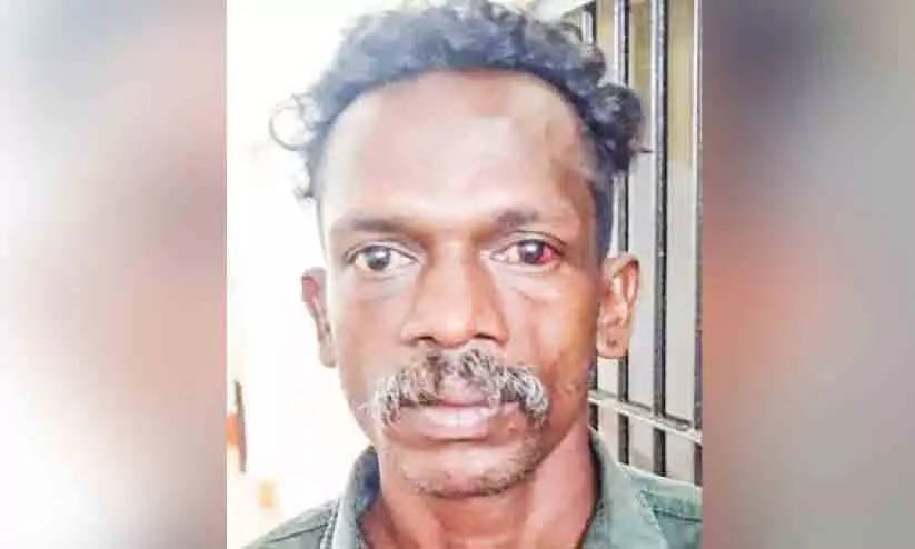 ആടുകളുടെ കരച്ചിൽ അലോസരപ്പെടുത്തി: അയൽവാസിയായ യുവതിയെ തീകൊളുത്തി ആടുകളുടെ കരച്ചിൽ അലോസരപ്പെടുത്തി: അയൽവാസിയായ യുവതിയെ തീകൊളുത്തി