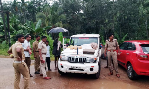 എട്ട്​ കിലോ കഞ്ചാവ് പുരയിടത്തിൽ ഉപേക്ഷിച്ചനിലയിൽ കണ്ടെത്തി