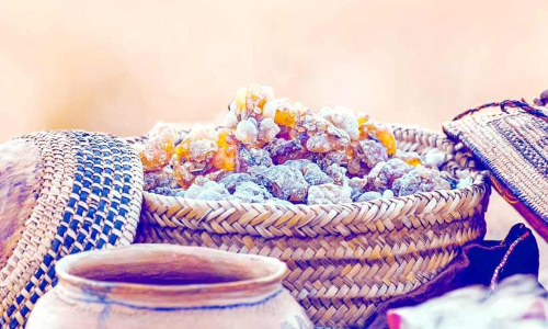 സാമ്പ്രാണി ഫെസ്റ്റിവലിന്​ ഇന്ന്​ തുടക്കം