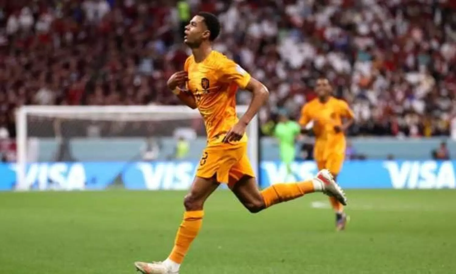 വീണ്ടും ഗാക്പോ; ഖത്തറിനെതിരെ ഓറഞ്ചുപട മുന്നിൽ