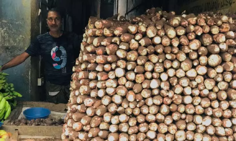 കപ്പടിച്ച് കപ്പ കർഷകർ; വില 40നുമുകളിൽ