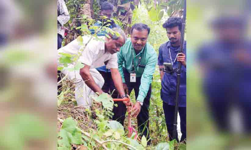 ഗ്രീ​ൻ​ഫീ​ൽ​ഡ് പാ​ത; അ​തി​ർ​ത്തി നി​ർ​ണ​യം   പൂ​ർ​ത്തി​യാ​യി