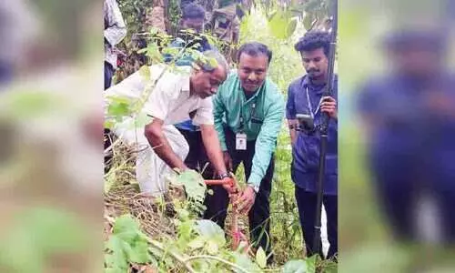 ഗ്രീ​ൻ​ഫീ​ൽ​ഡ് പാ​ത; അ​തി​ർ​ത്തി നി​ർ​ണ​യം   പൂ​ർ​ത്തി​യാ​യി