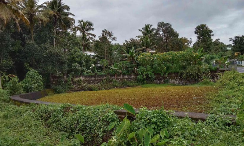 അഞ്ചൽകുളം കുളമോ ചിറയോ?