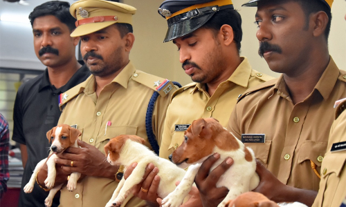 പൊലീസ് ശ്വാനവിഭാഗത്തിലേക്ക് വിദേശയിനം നായ്ക്കളെത്തി