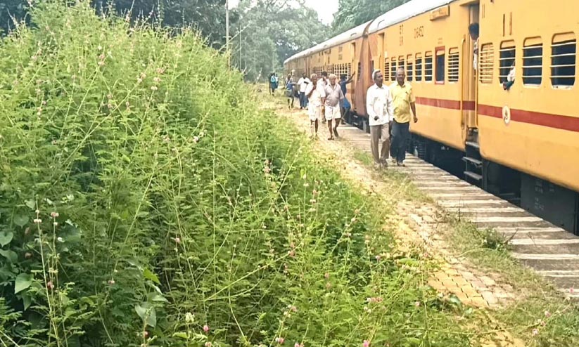 കാടുമൂടി ആര്യങ്കാവ് റെയിൽവേ സ്റ്റേഷൻ പരിസരം കാടുമൂടി ആര്യങ്കാവ് റെയിൽവേ സ്റ്റേഷൻ പരിസരം