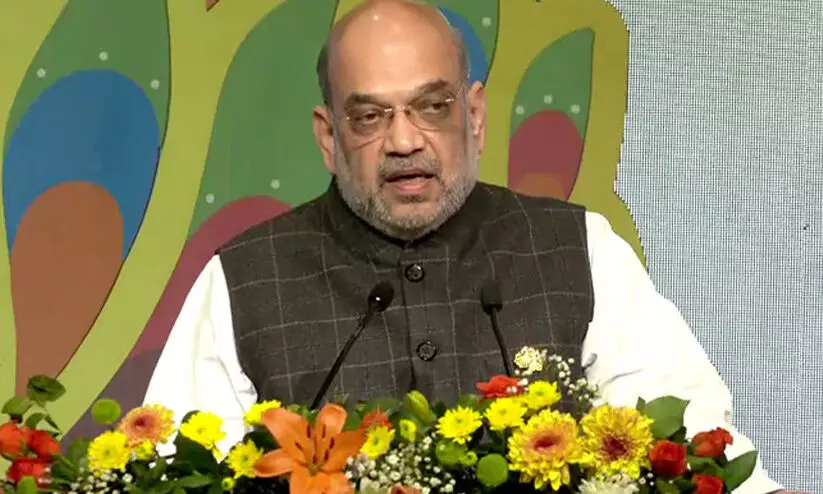 Promote Medical, Law Education In Mother Tongue: Amit Shah To States