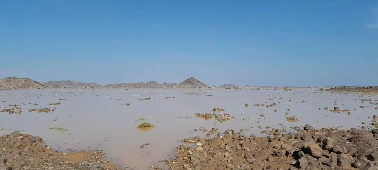 കനത്ത മഴയിൽ മദീനയിലെ അൽ-മുബാറക് താഴ്വര തടാകമായി