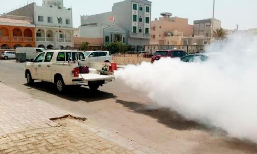 കൊതുക് നശീകരണത്തിന് തെർമൽ ഫോഗിങ്, സ്പ്രേ; നടപടികൾ ഊർജിതമാക്കി