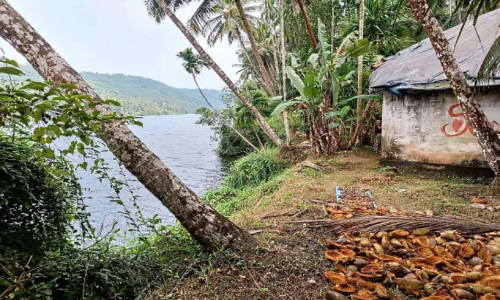 തേജസ്വിനി പുഴയോരം കരയിടിച്ചിൽ ഭീഷണിയിൽ