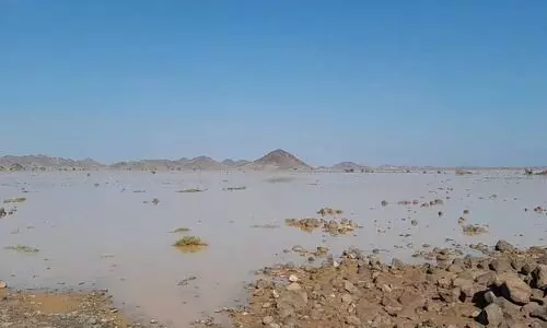 കനത്ത മഴയിൽ മദീനയിലെ അൽ-മുബാറക് താഴ്വര തടാകമായി