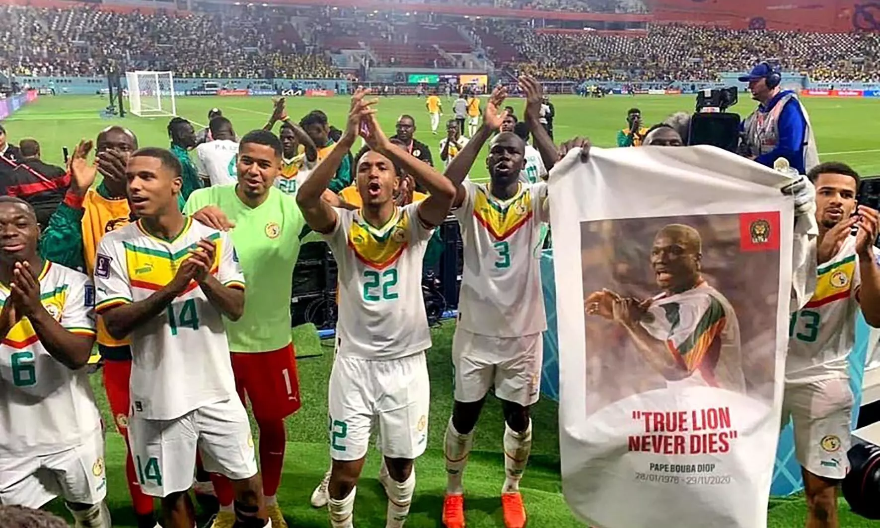 Senegal in Knockout