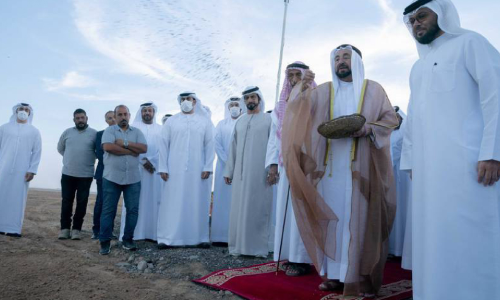 wheat production in Sharjah