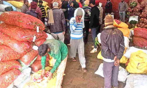 മഞ്ഞുവീഴ്ചയും ഇടവിട്ട മഴയും; പച്ചക്കറി വരവ് കുറഞ്ഞു