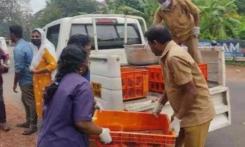 അനധികൃത കച്ചവടം: മത്സ്യം പിടിച്ചെടുത്തു