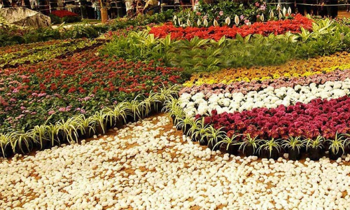 തിരുവനന്തപുരം: നഗരവസന്തംപുഷ്‌പോത്സവം 21 മുതൽ