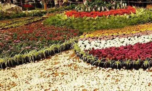 തിരുവനന്തപുരം: നഗരവസന്തംപുഷ്‌പോത്സവം 21 മുതൽ