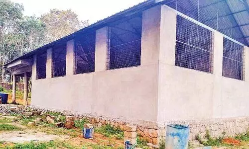 മറ്റത്തൂരില്‍ ആധുനിക ശ്മശാനം ഒരുങ്ങുന്നു