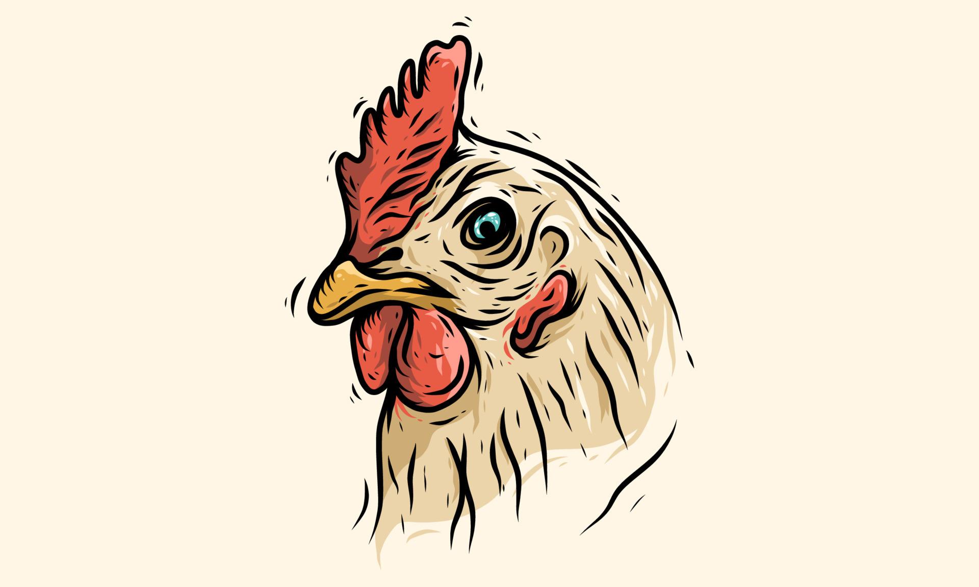 rooster rooster