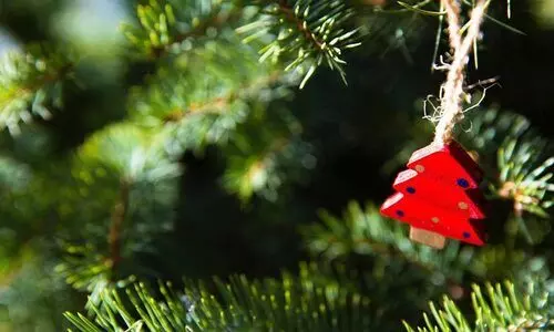 പുൽക്കൂടും സാന്തായും മാതൃകയാവട്ടെ; കണ്ണൂരിൽ ഹരിത ക്രിസ്മസ്