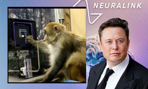 ന്യൂറാലിങ്കിന്റെ ചിപ്പ് തലച്ചോറിൽ ഘടിപ്പിച്ച കുരങ്ങൻ ചെയ്തത്; വിഡിയോയുമായി ഇലോൺ മസ്ക്