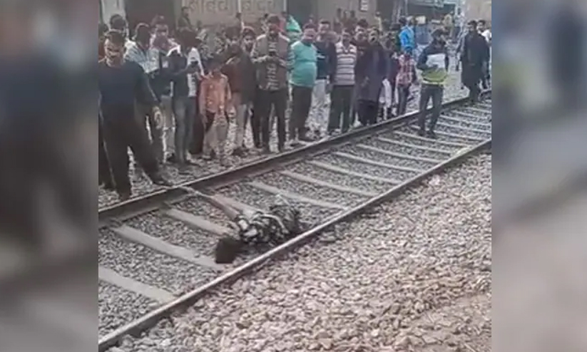 Vegetable Vendor Vegetable Vendor