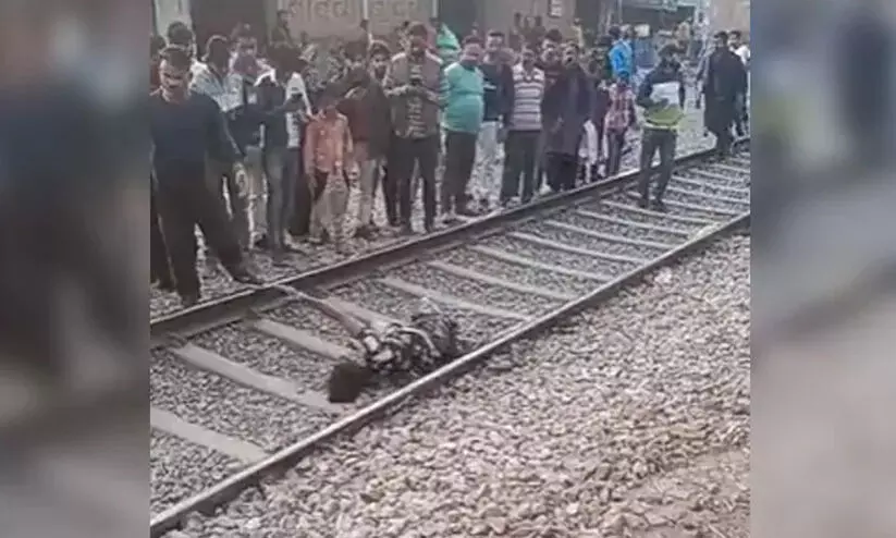 Vegetable Vendor Vegetable Vendor