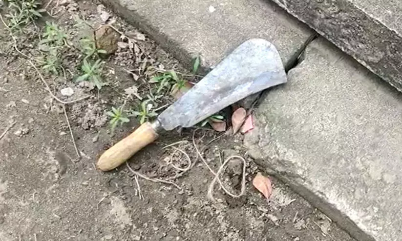 Machete Machete
