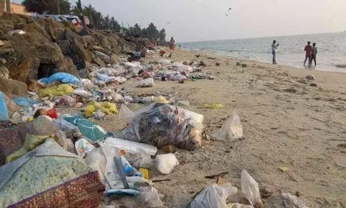 മാലിന്യത്തിൽ മുങ്ങി വടകര കടലോരം