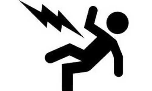 പ്രാവിനെ പിടിക്കുന്നതിനിടെ രണ്ട് കുട്ടികൾക്ക്  ഷോക്കേറ്റു; നില ഗുരുതരം