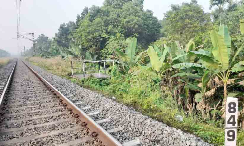 ലഹരിസംഘത്തിന്‍റെ അഴിഞ്ഞാട്ടം; വീടുകൾക്കുനേരെ കല്ലേറ്