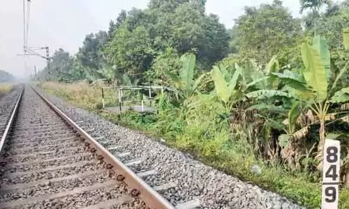 ലഹരിസംഘത്തിന്‍റെ അഴിഞ്ഞാട്ടം; വീടുകൾക്കുനേരെ കല്ലേറ്