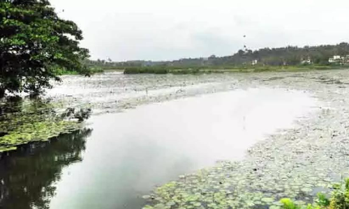 കാനാമ്പുഴ കളറാകും കാനാമ്പുഴ കളറാകും