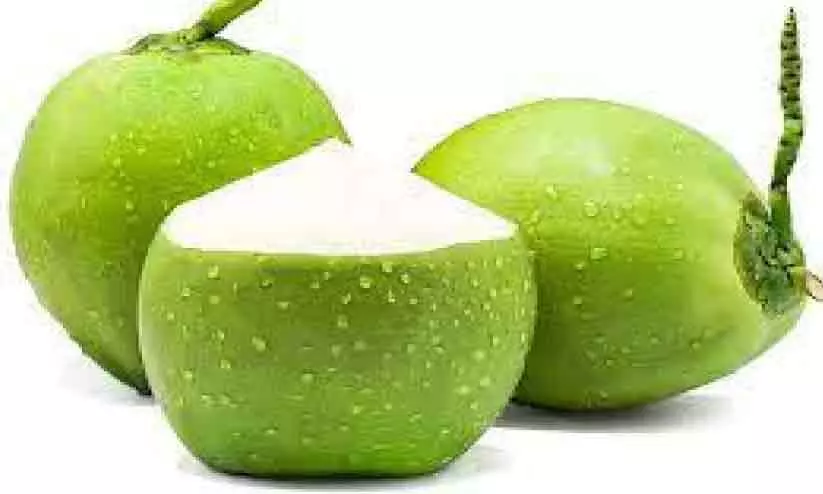 coconut stock coconut stock