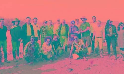 UAE Embassy donates 200 plants to kuwait