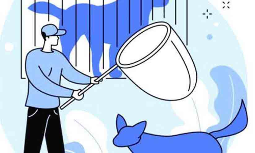 ഒറ്റപ്പാലം താലൂക്ക് വികസന സമിതി: മൃഗാശുപത്രികൾ കേന്ദ്രീകരിച്ച് തെരുവ് നായ്ക്കൾക്ക് എ.ബി.സി പദ്ധതി