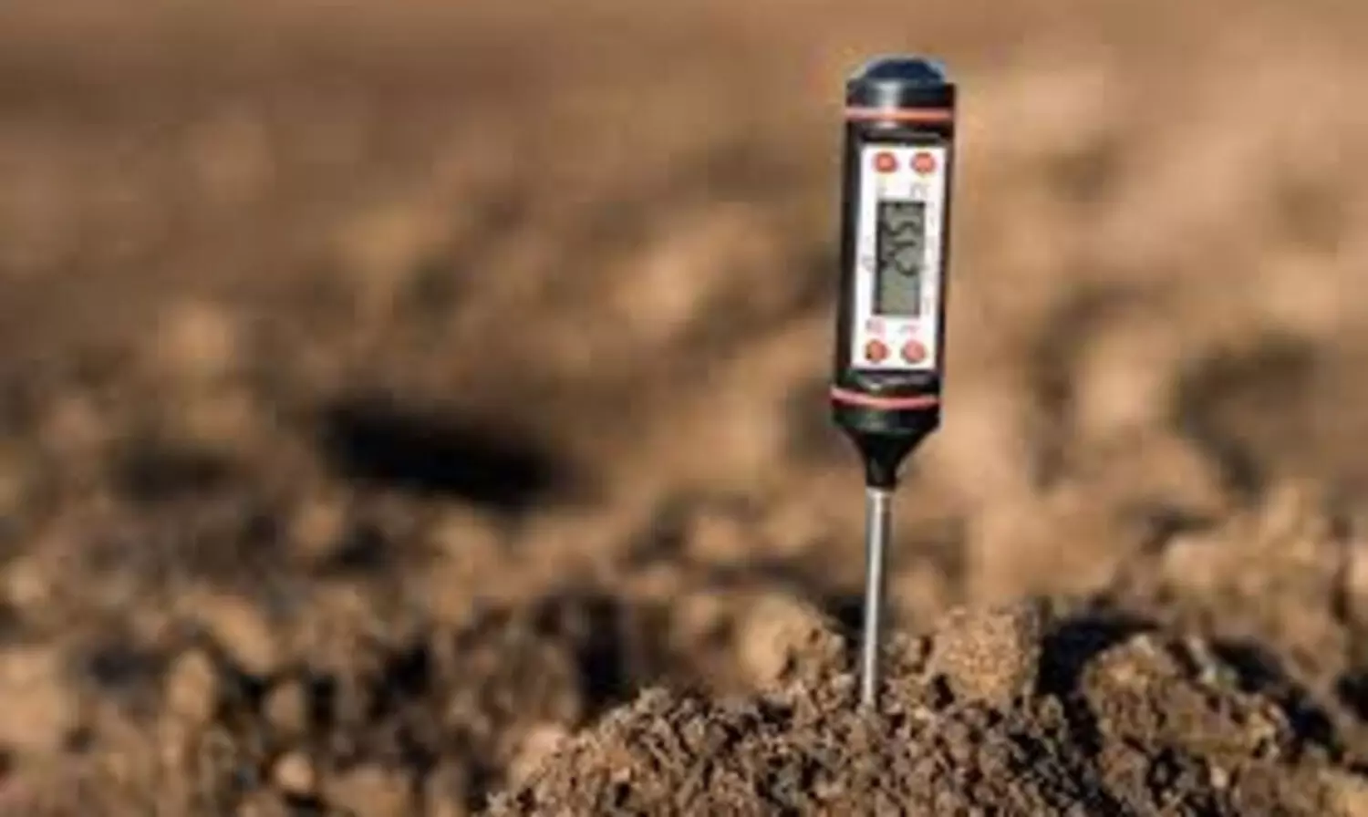 നിലമറിഞ്ഞ് കൃഷിയൊരുക്കാം; മണ്ണ് പരിശോധന എങ്ങനെ?