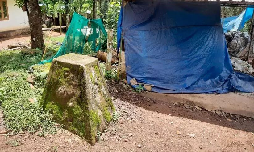 പാട്ടക്കാലാവധി പുതുക്കൽ; ആശങ്കയേറ്റി വനംവകുപ്പ് റീസർവേ