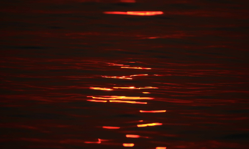 രാ​​ത്രി​​യി​​ല്‍ ഡാ​​മി​​ല്‍ ഇ​​റ​​ങ്ങ​​രു​​ത്